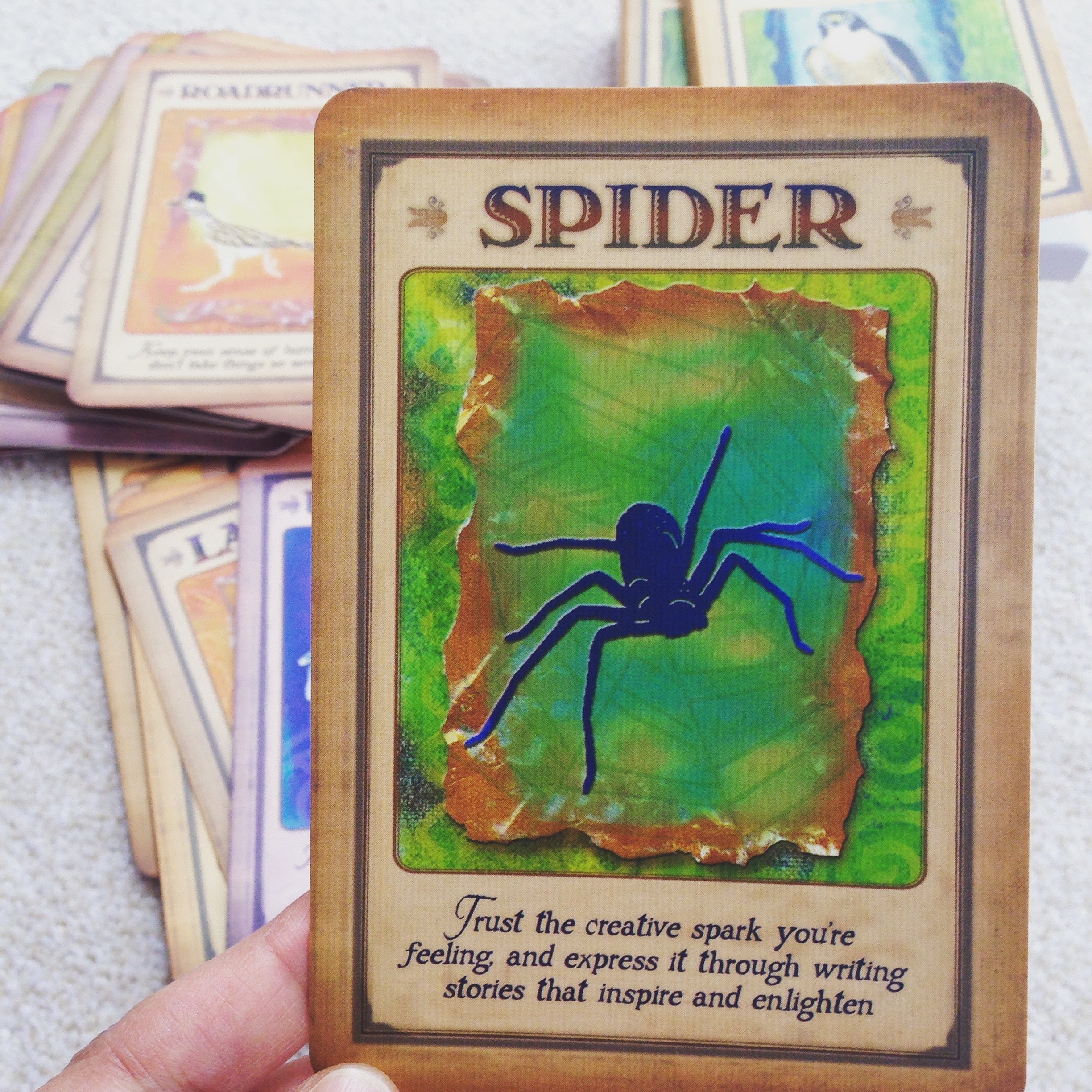 The Spider Animal Spirit Oracle Card